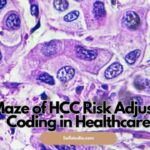 The Maze of HCC Risk Adjustment Coding in Healthcare