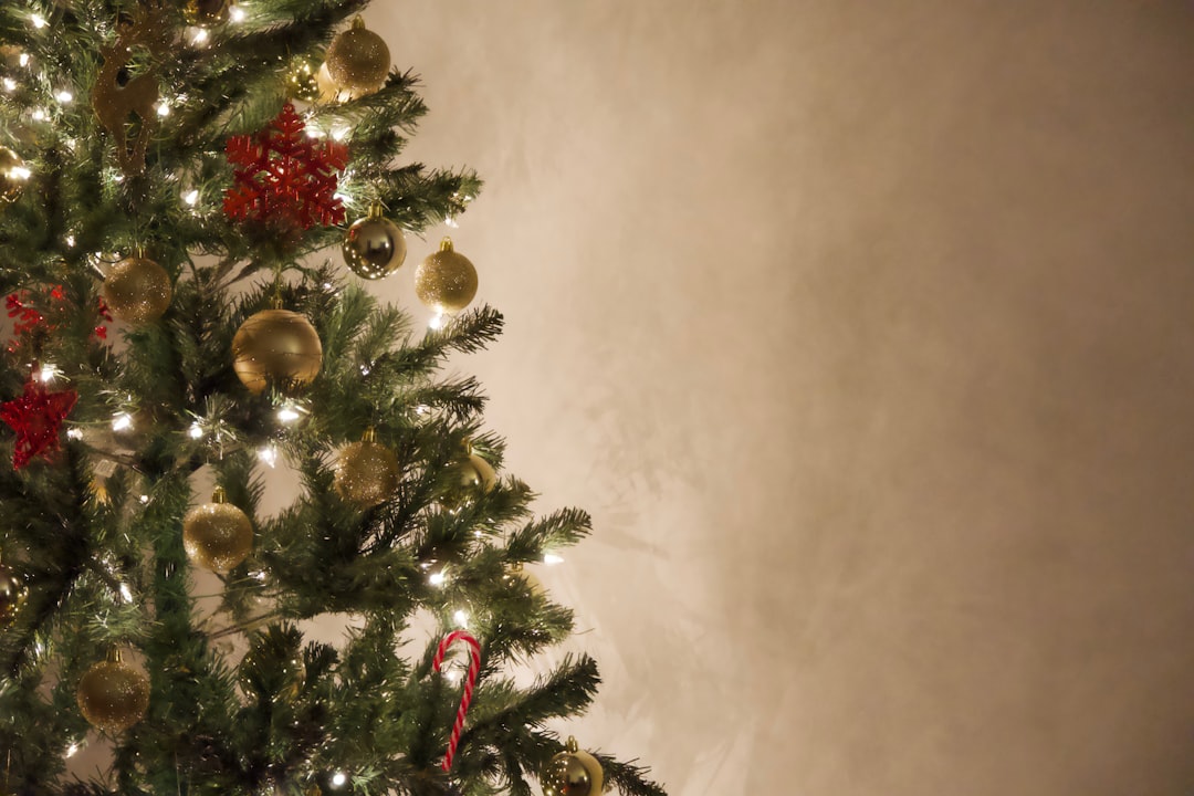 Liafi Studio Photo holiday bonus budgeting